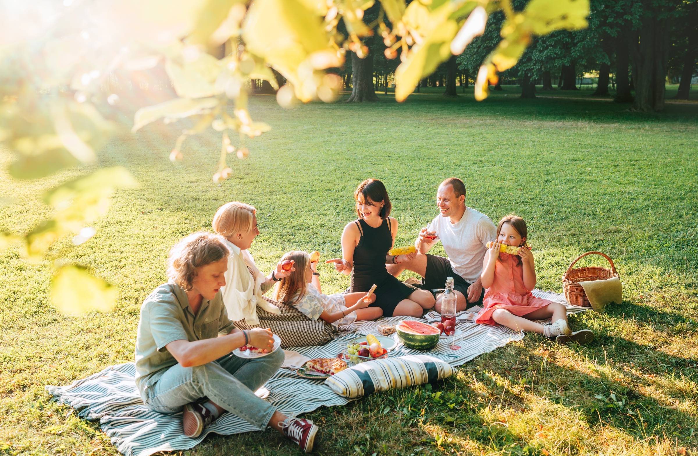 a summer picnic with family and friends