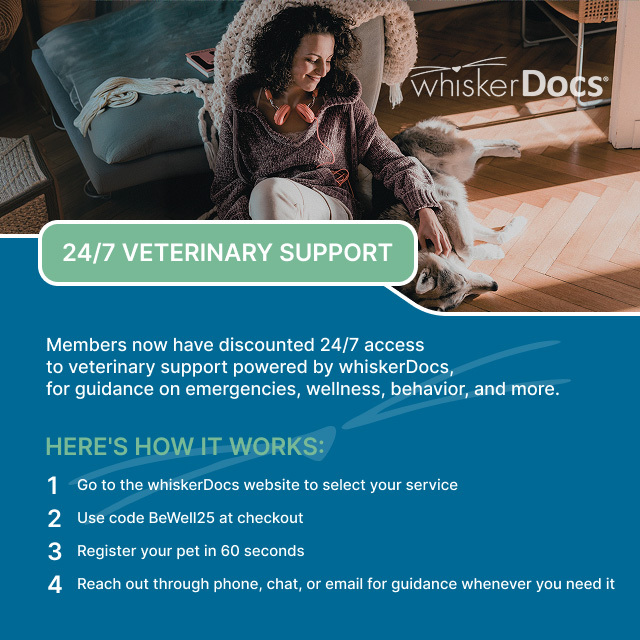 Card with information on partnership between netWell and whiskerDocs